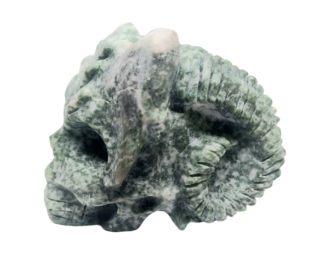 615G Tree Agate Crystal Horned Skull
