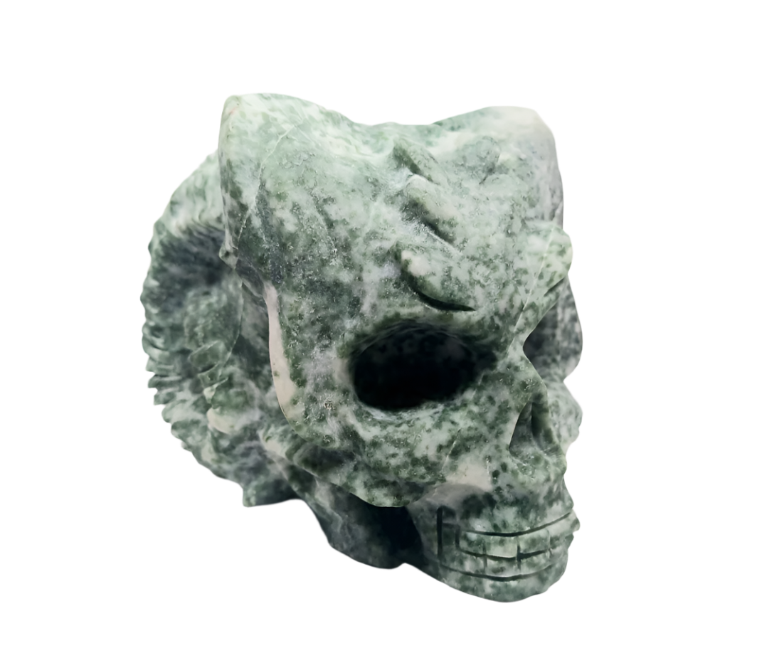 615G Tree Agate Crystal Horned Skull