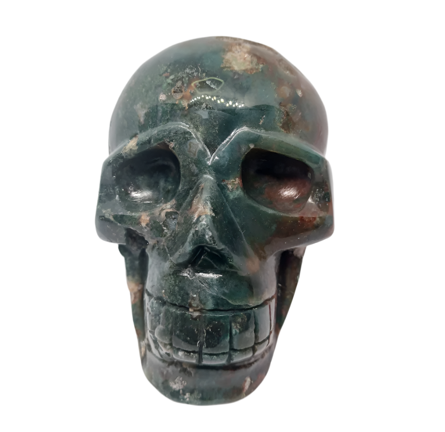 2.7lbs Red Moss Agate Crystal Skull