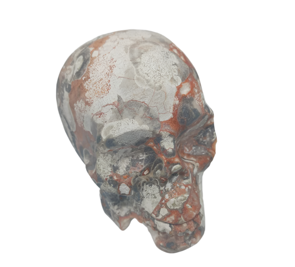 468G Money Agate Crystal Skull