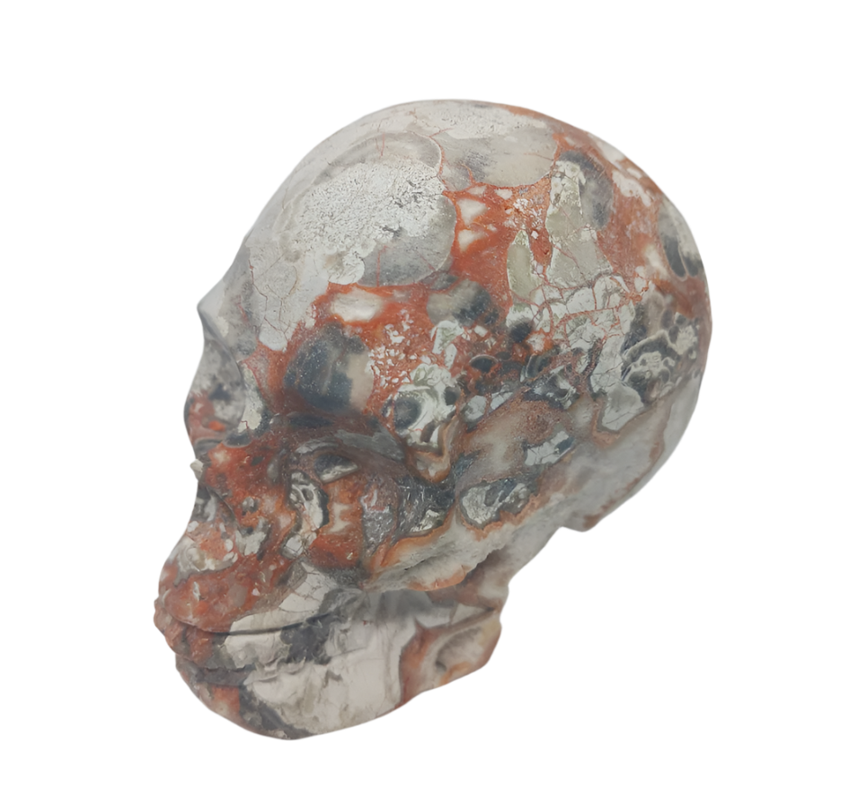 468G Money Agate Crystal Skull