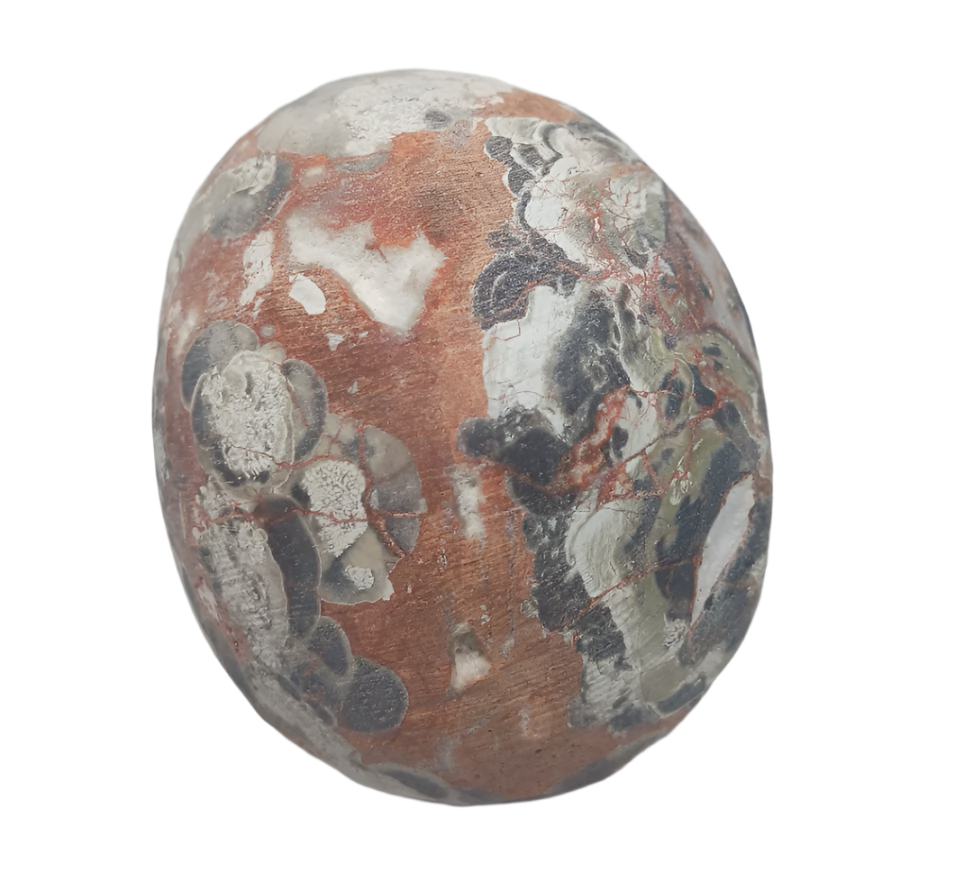 468G Money Agate Crystal Skull