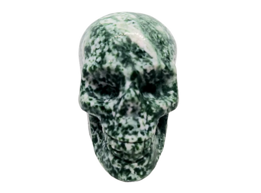 217G Tree Agate Crystal Skull