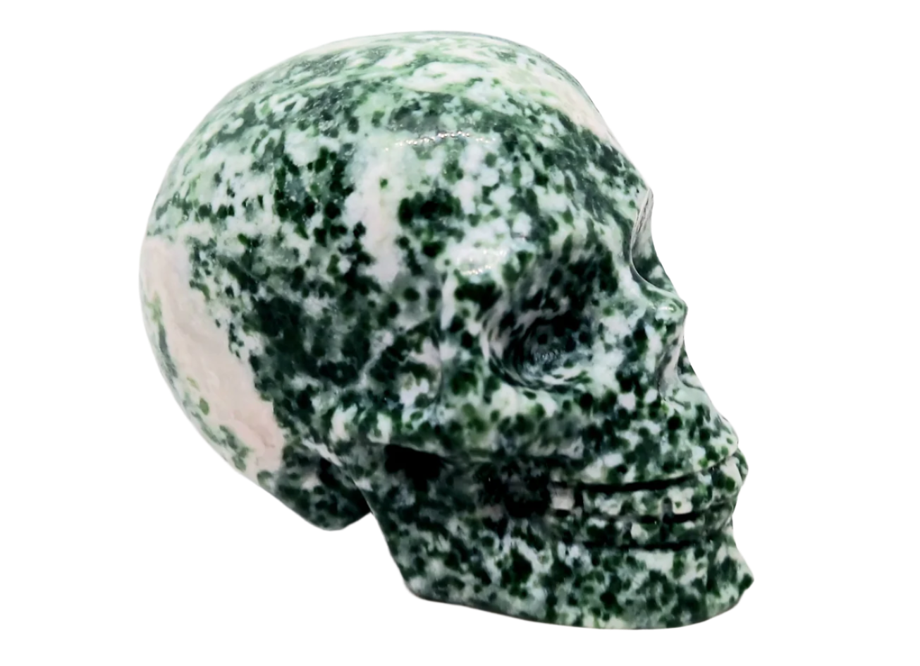 217G Tree Agate Crystal Skull