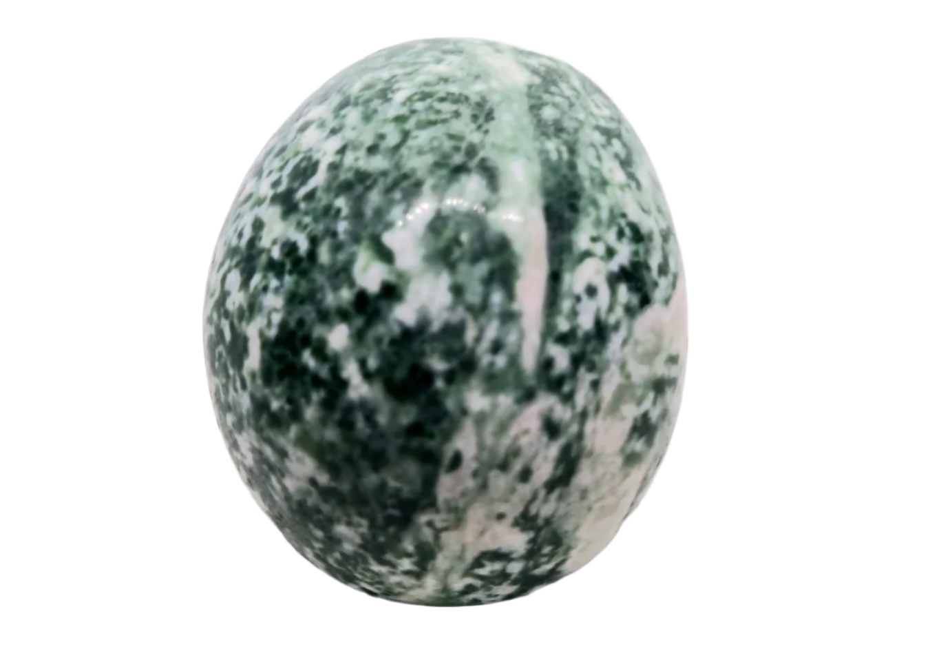 217G Tree Agate Crystal Skull