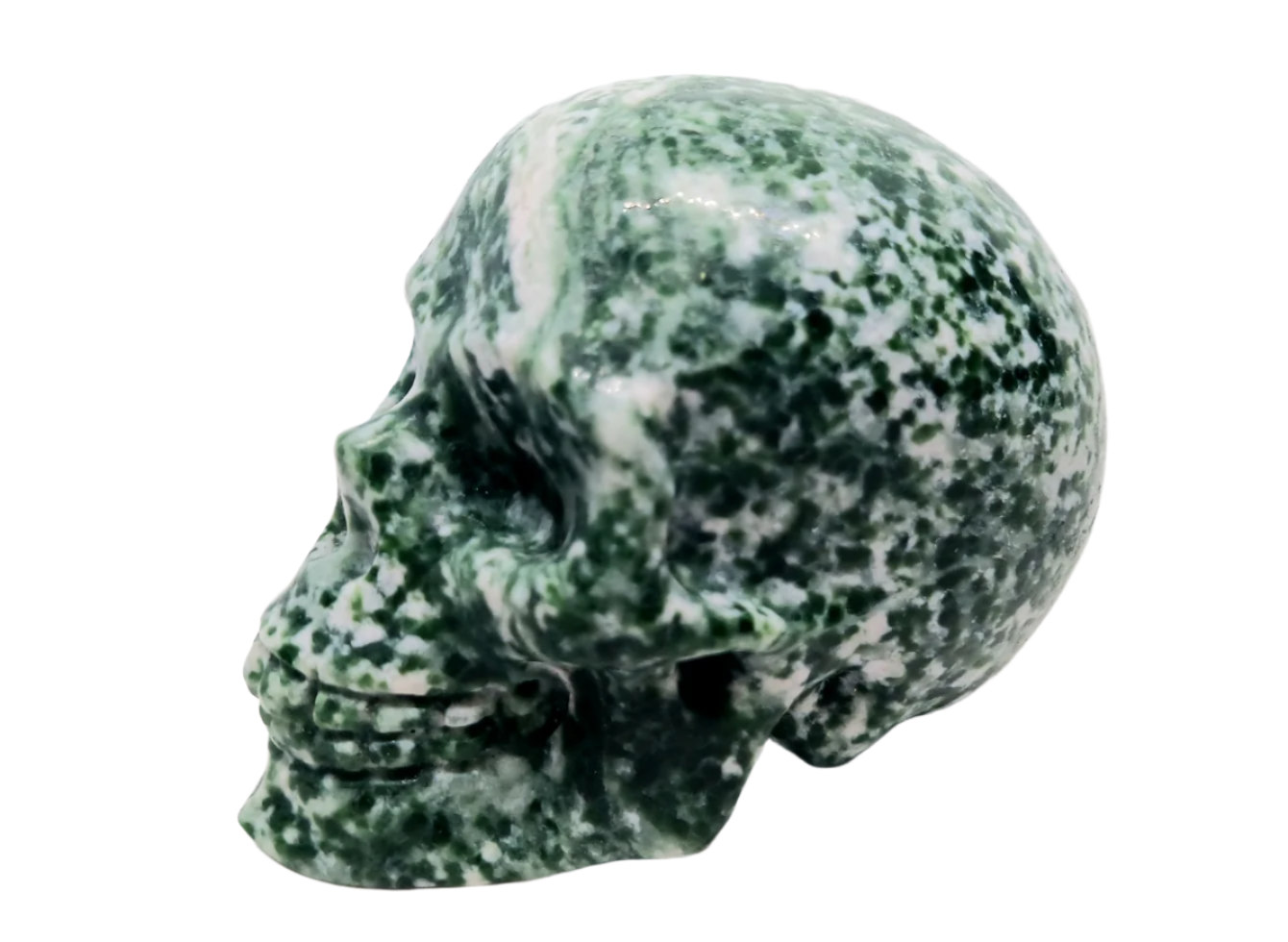 217G Tree Agate Crystal Skull