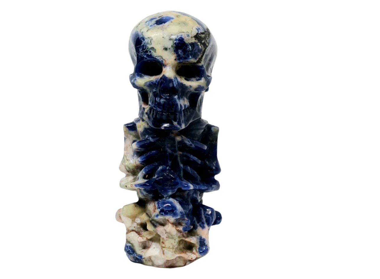 201G Sodalite Crystal Skull on Skull Carving