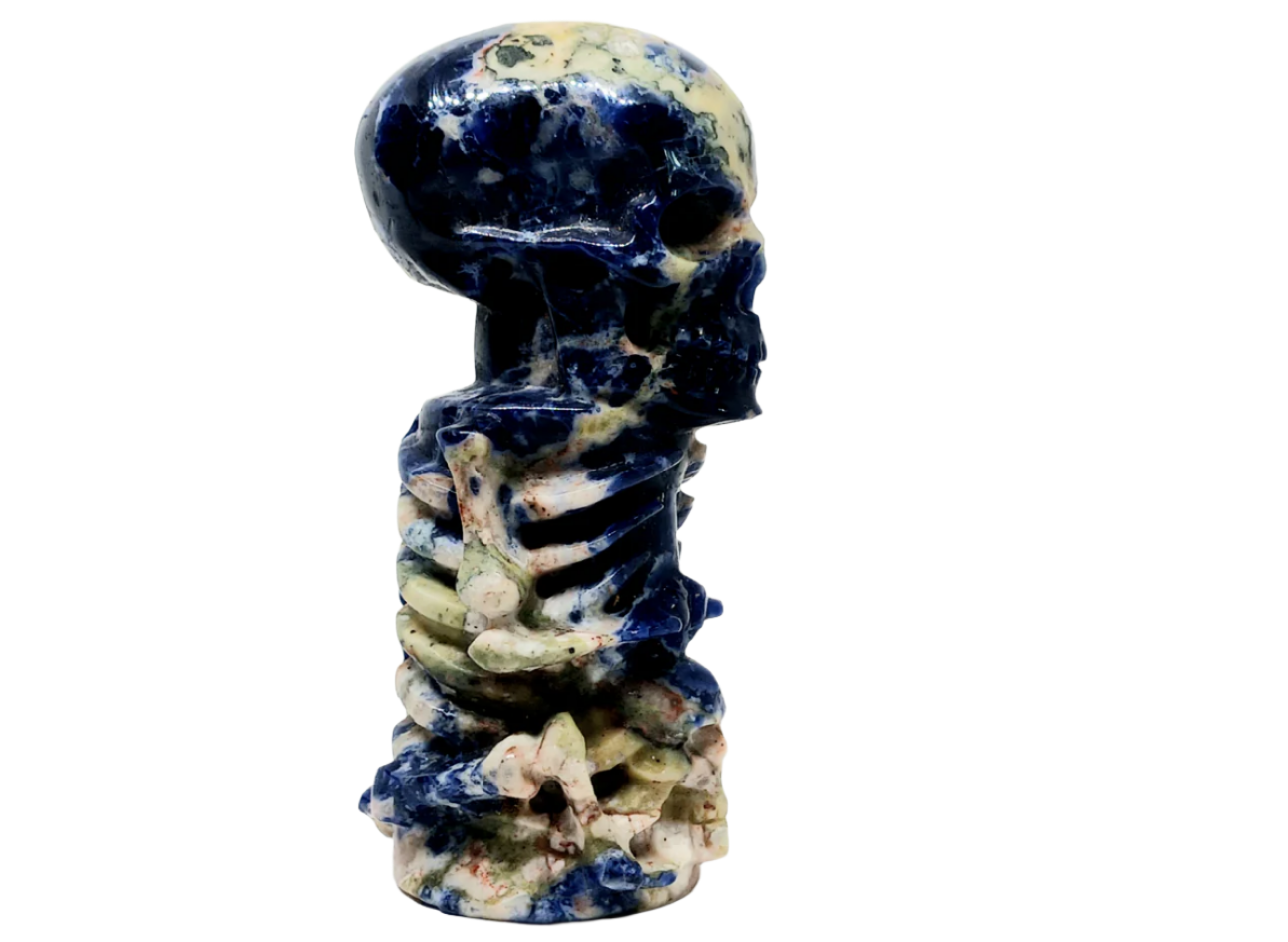 201G Sodalite Crystal Skull on Skull Carving