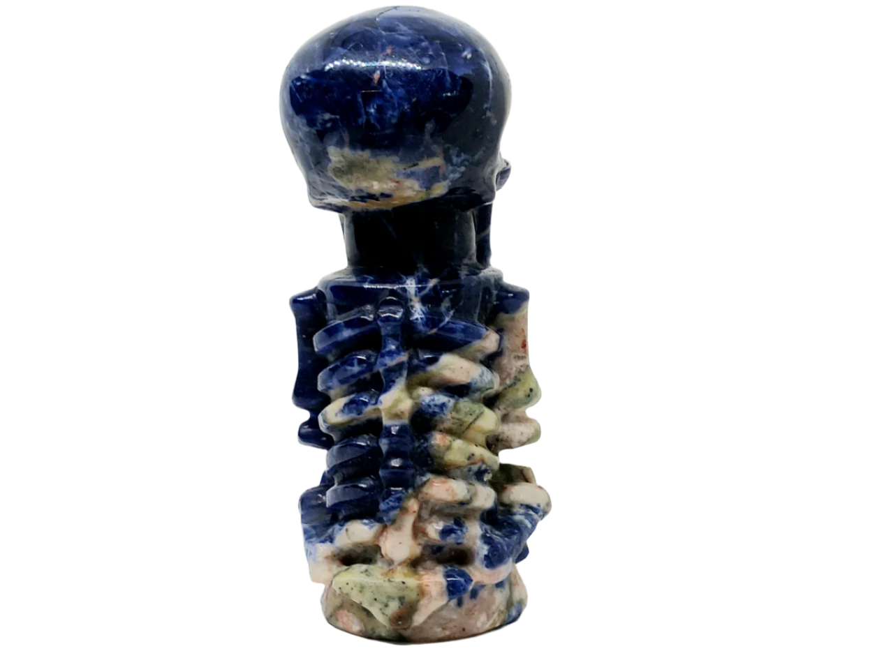 201G Sodalite Crystal Skull on Skull Carving