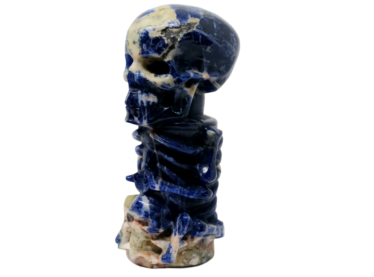 201G Sodalite Crystal Skull on Skull Carving