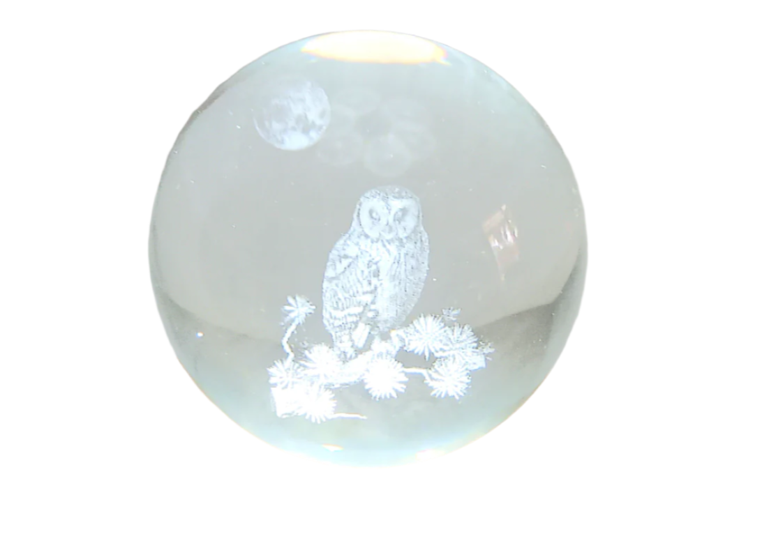 Medium Owl under the Moon 3D Print Glass Globe