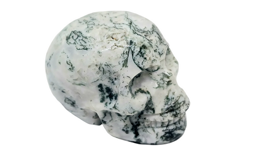 117G Moss Agate Crystal Skull