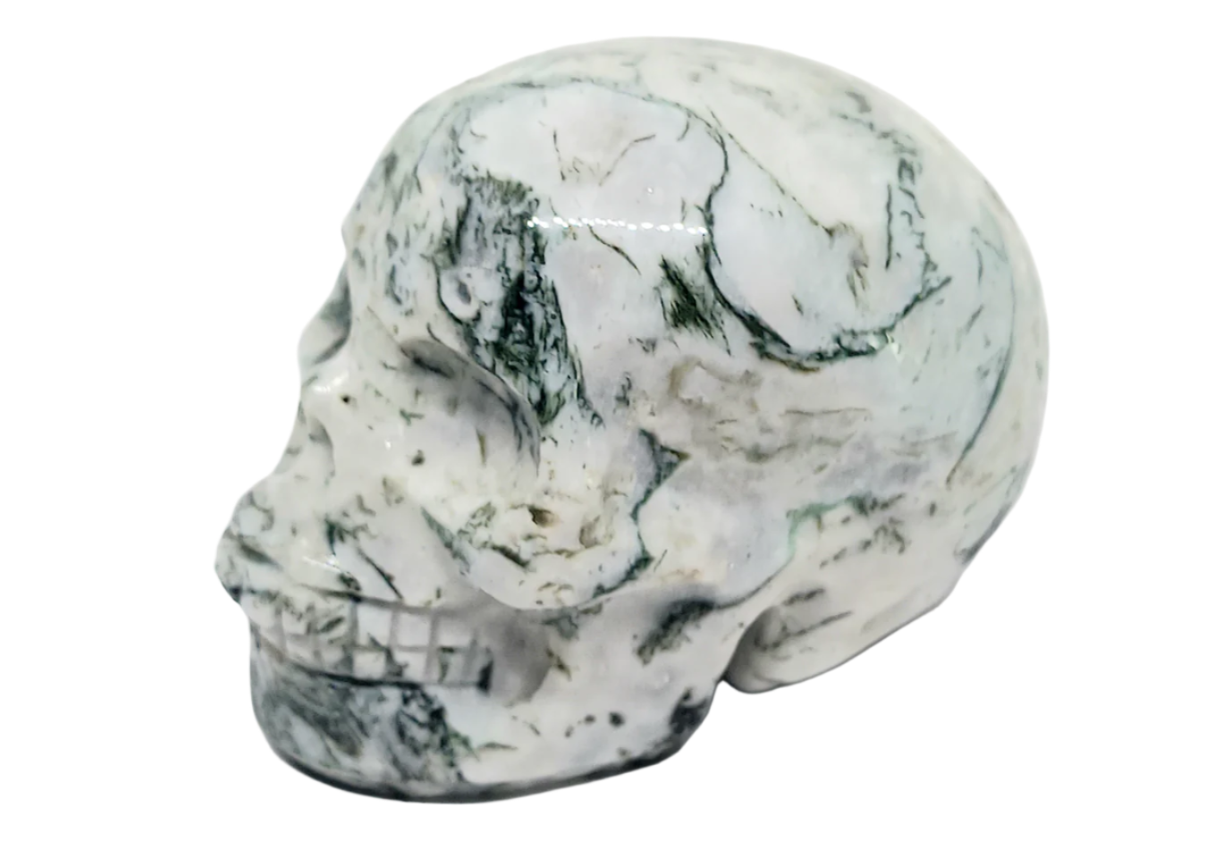 117G Moss Agate Crystal Skull