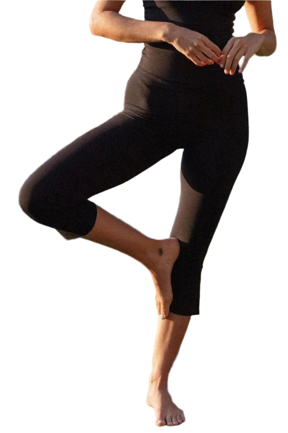 b183c342-6a82-4ddf-a824-3cf1a413d6c5-Max